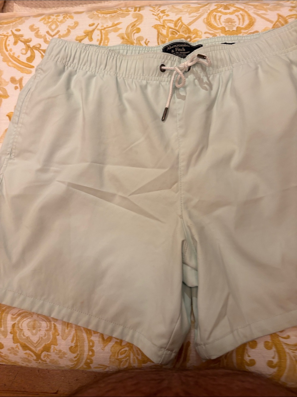 Abercrombie & Fitch Men's Pale Mint Drawstring Hybrid Swim Shorts